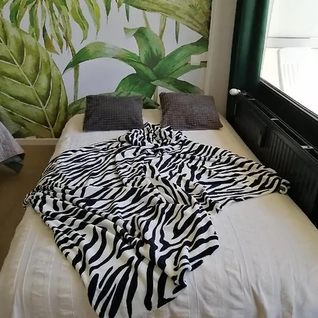 Apartment En Duin